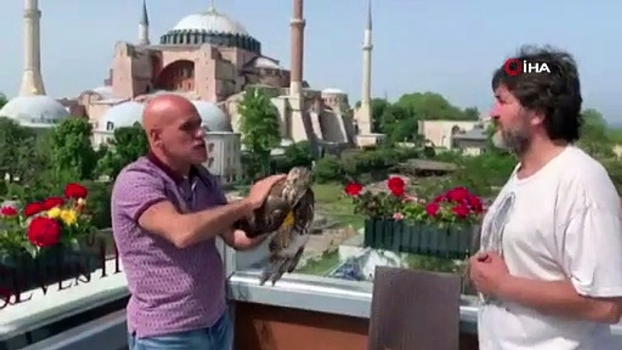 Kargaların saldırdığı şahin otele sığındı