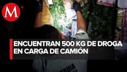 Decomisan media tonelada de Marihuana en Tamaulipas