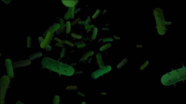 সুখবর অবশেষে করোনা ভাইরাসের ভ্যাকসিন আবিষ্কার করলেন বিজ্ঞানীরা | corona virus vaccine | Covid-19