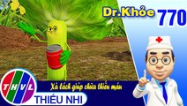 Dr. Khỏe - Tập 770: Xà lách giúp chữa thiếu máu