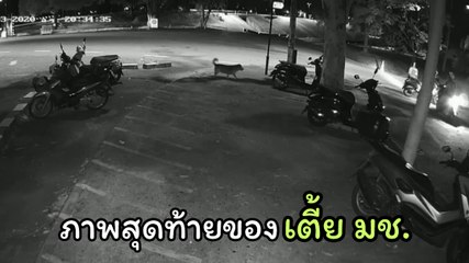 วงจรปิดจับภาพสุดท้าย เตี้ย มช. ขึ้นมอเตอร์ไซค์ไปกับชายปริศนา