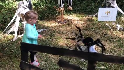 TIME TO RELAX FUNNIEST HALLOWEEN BABIES #9  Funny Babies funny video