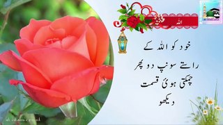 Best Inspirational Islamic Quotes about Allah Merciful in Urdu | Islamic Quotes WhatsApp status