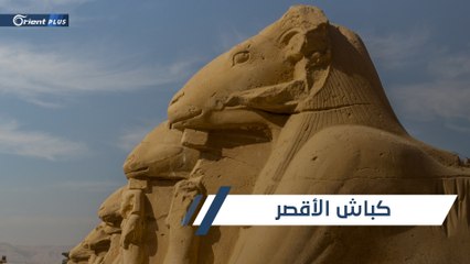 تجدد الجدل والانتقادات لقرار الحكومة المصرية بنقل "كباش الكرنك" إلى ميدان التحرير
