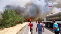 KKTC'de orman yangını! Türkiye'den helikopter gönderildi