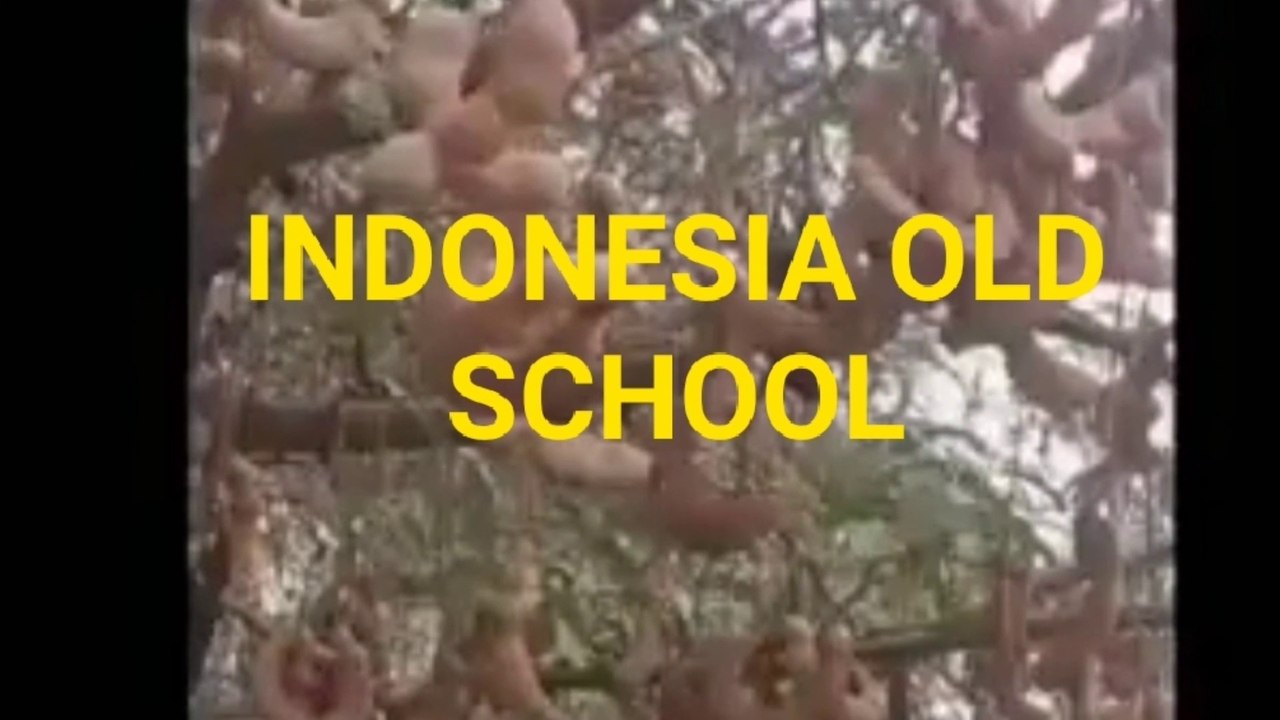 INDONESIAN OLD SCHOOL