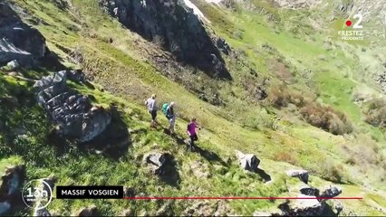 Massif vosgien : les randonneurs reprennent leur marche