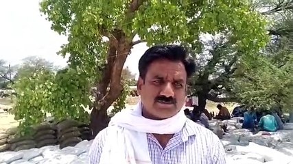 तराना: सोसायटियो में बारदान खत्म होने से किसान परेशान