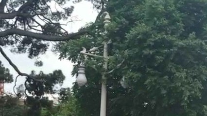 Juan Roig en una concentración de apoyo a la bandera de España en Valencia.