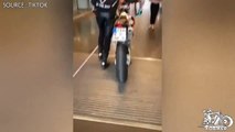 XOBIKER - TlKT0K - MOTOGIRL - Wer nimmt sein Bike auch mit ins Einkaufszentrummxgirl grenzgaenger supermoto enduro motogirl motochallenge bikelife