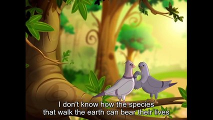 05 Animals stories in Qur'an - Prophet Ibrahim's birds P1 - HD with English Subtitles