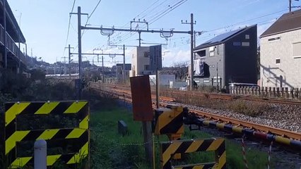 japanese　train　E217