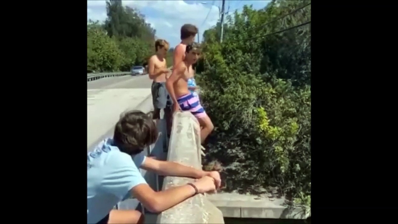 Grosse surprise au moment de sauter dans une rivière depuis un pont