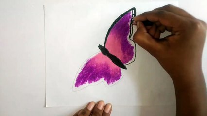 How to draw a Butterfly by oil pastel --for beginners.