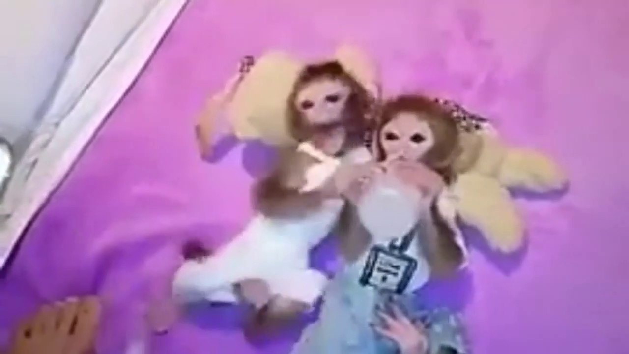 VIRAL VIDEO