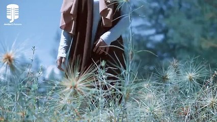 LELAKI CADANGAN VERSI REGGAE