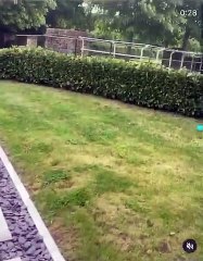 James McClean completes gruelling Navy Seal challenge