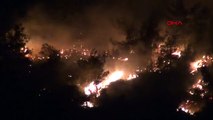 ADANA Kozan'da orman yangını
