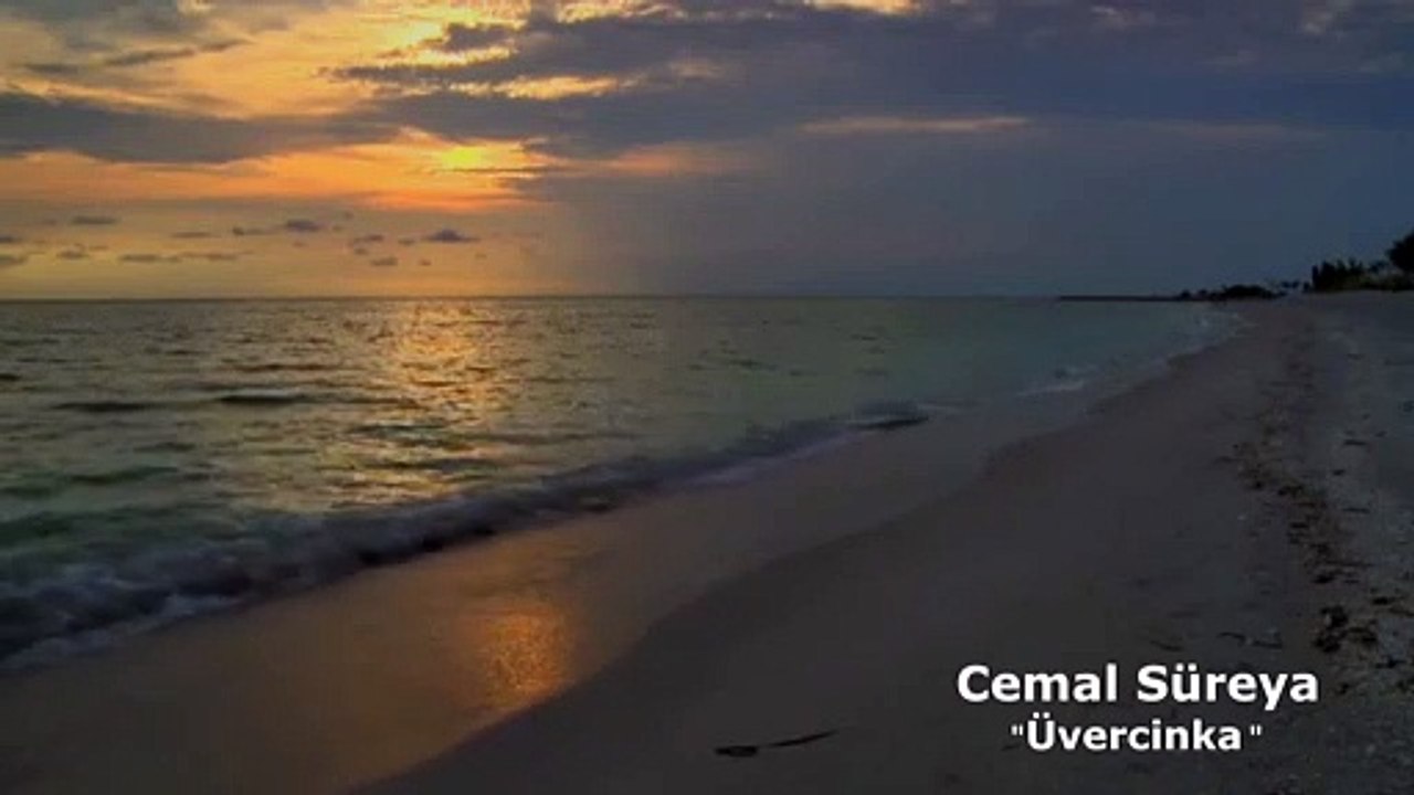 Cemal Süreya - Üvercinka