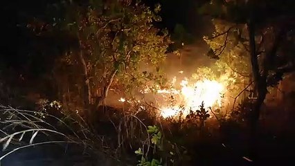 ext-incendio-parque-nacional-guanacaste-170520