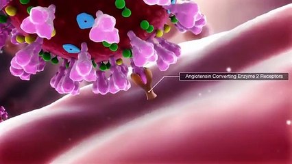 Crona virus symptom and homiopathy madicin