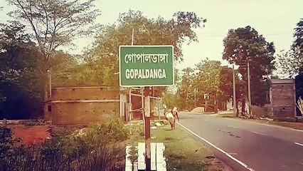 মেলেনি বিধবা ভাতা বা বার্ধক্য ভাতা!জঙ্গলমহলে  লকডাউনে একাই বাঁচার লড়াইয়ে সামিল বৃদ্ধা সেফালী মাহাতো।