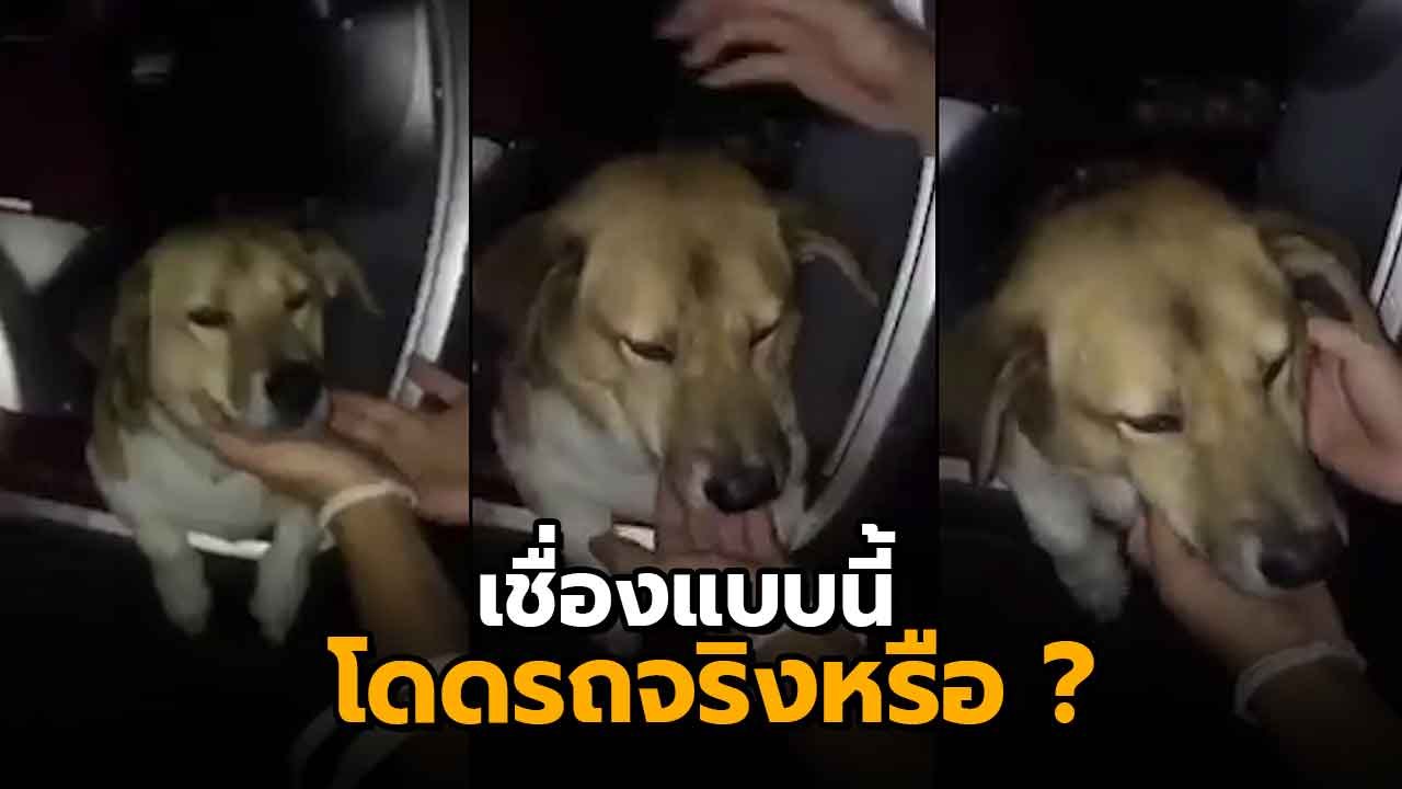 ย้อนคลิปพี่เตี้ย มช. ไม่ยอมลงจากรถ จุดคำถามแบบนี้เหรอจะโดดลงมาตาย ?