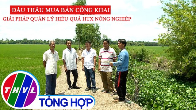 Nông nghiệp bền vững: Đấu thầu mua bán công khai - Giải pháp quản lý hiệu quả HTX nông nghiệp