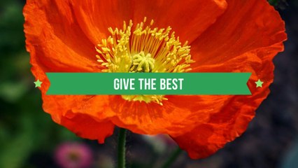 A Humbling Experience Gardening Is