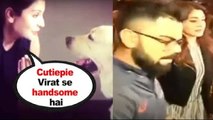 Virat Kohli & Anushka Sharma talking to dog is Treat to Watch | Bollywood in LockDown