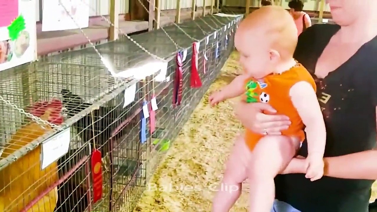 Cute Baby and Pets Videos - Cute Birds and  Babies videos