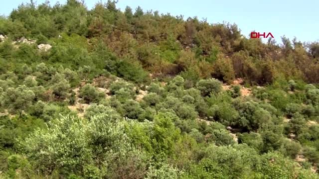 ADANA Kozan'daki orman yangını söndürüldü