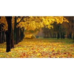 Beauty of nature | Drone Aerial View | MSra Talk |