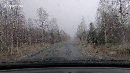 Watch as heavy snow falls in Sweden two weeks before the start of summer