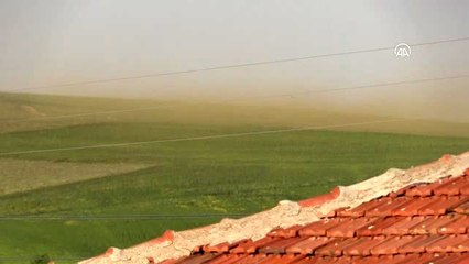 Köy sinek istilasına uğradı