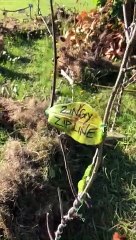 Mum and small daughter build amazing fairy village during lockdown in Milton Keynes