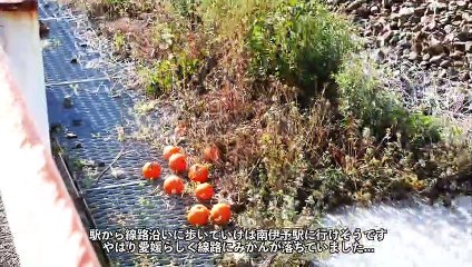 【炎上】けらす  鉄道・旅行系チャンネル動画まとめ(53)
