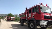 Kozan'da 1 hektarlık orman alanı yandı