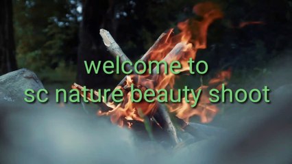 animals in forest shoot #sc nature beauty shoot