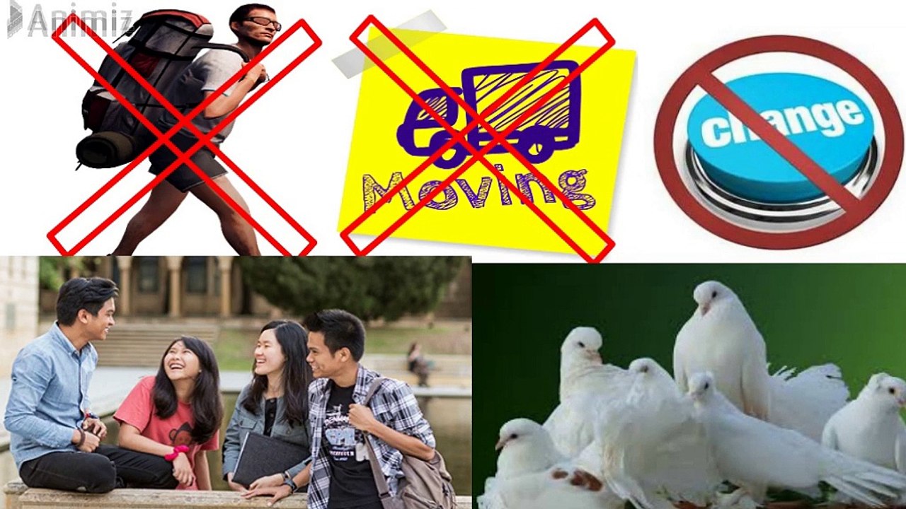 DOPE Personality (Dove, Owl, Peacock, Eagle) Part 1 video Dailymotion