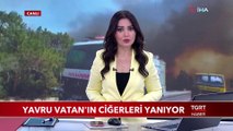 Yavru Vatan'ın Ciğerleri Yanıyor