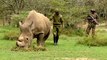 Kenya: Lack of funds puts conservation projects at risk