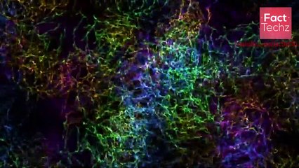 समानांतर ब्रह्माण्ड का रहस्य - The Mystery of Parellel Universe by fact city( a fact techz video)