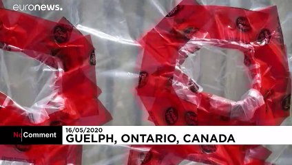 Um abraço sem perigo de contágio