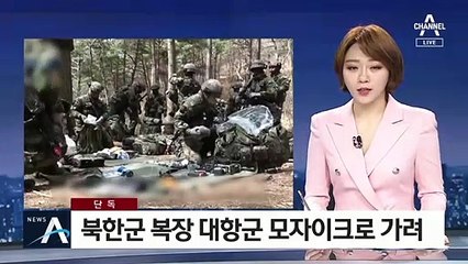 [단독]북한군 복장 대항군 모자이크…北 눈치 보나?