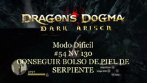 Dragon Dogma Modo Dificil 54 NV 130 (Español) - CONSEGUIR BOLSO DE PIEL DE SERPIENTE - CanalRol 2020