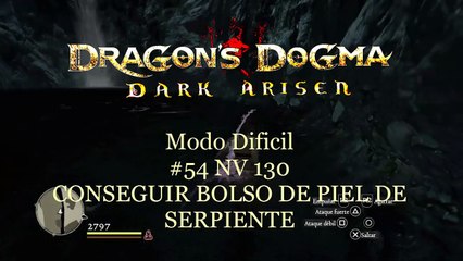 Dragon Dogma Modo Dificil 54 NV 130 (Español) - CONSEGUIR BOLSO DE PIEL DE SERPIENTE - CanalRol 2020