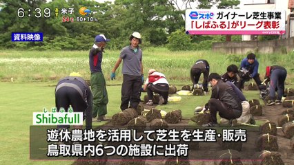 ｅスポ　ガイナーレ芝生事業がリーグ表彰