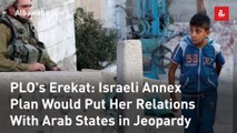PLO's Erekat: Israeli Annex Plan Would Put Her Relations With Arab States in Jeopardy