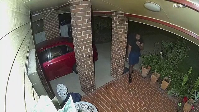 Ces voleurs ont du s’enfuir après être chassés par un petit chien qui a défendu la maison de son maitre.